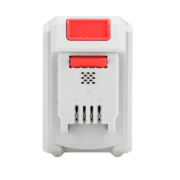 20V P20S Industrial Lithium-Ion Battery & Intelligent Charger Starter Kit (Dual 2.0Ah Power Packs / 2A Smart Desktop Dock)