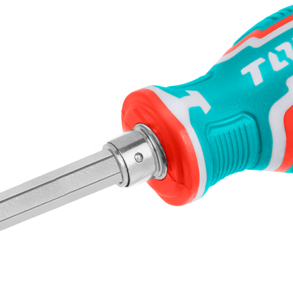 2-in-1 Interchangeable Double-Ended Screwdriver (PH2 + SL6)