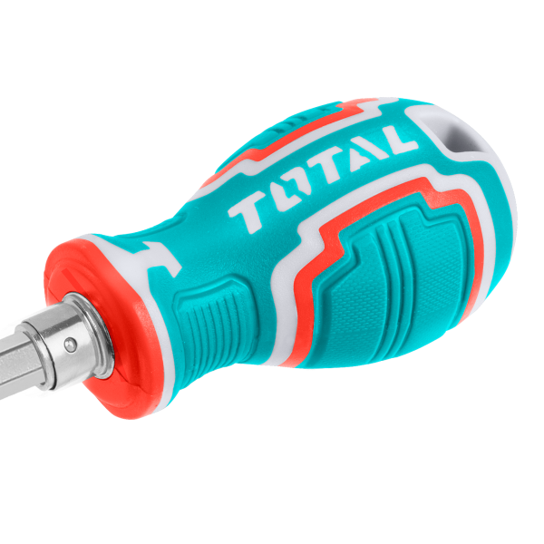 2-in-1 Interchangeable Double-Ended Screwdriver (PH2 + SL6)